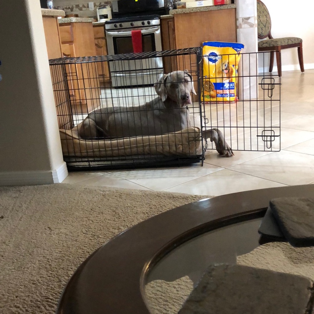 Meet your Posher, Joanna